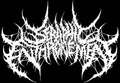 logo Seraphic Enthronement